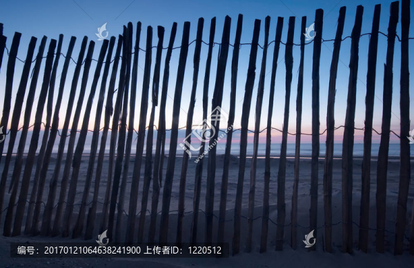 海灘上的木柵欄
