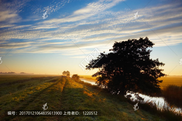 秋天的早晨，景觀