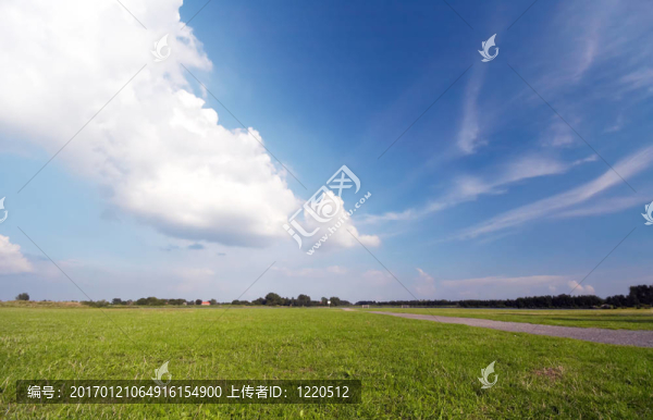 草和藍(lán)天背景