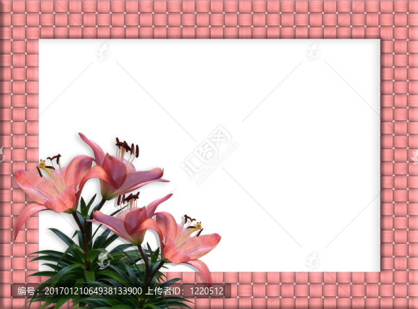 花邊框編織框架粉紅百合