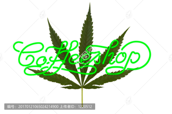大麻和咖啡館