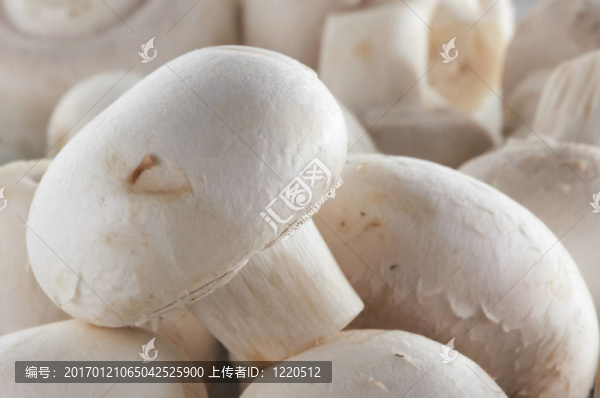 蘑菇的背景
