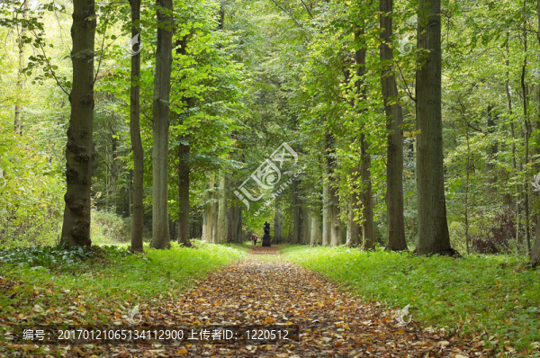 公園的秋天
