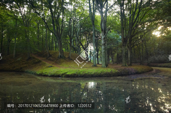 秋天的公園