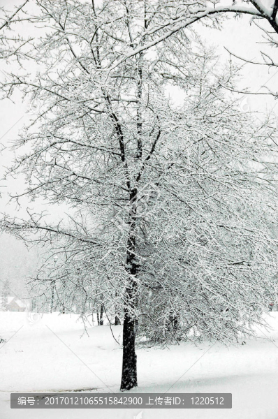 下雪天