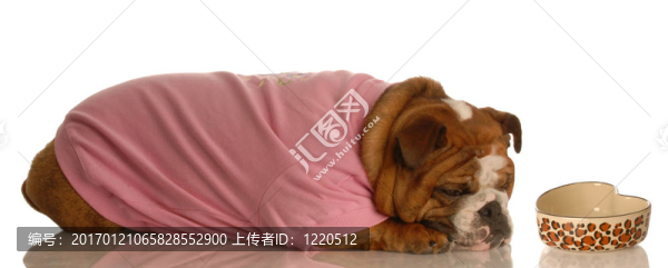 餓狗