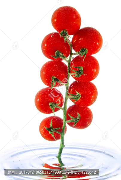 水里的西紅柿