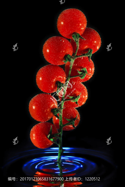 水里的西紅柿