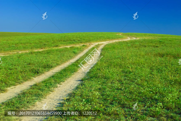 綠地；道路與陽光天空
