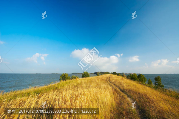 夏天的風(fēng)景