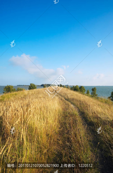 夏天的風景