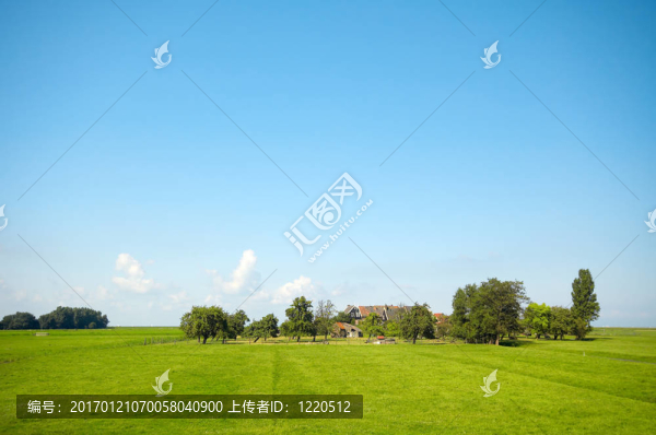 夏天的風(fēng)景