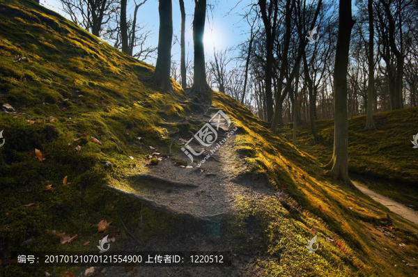 秋天的背景