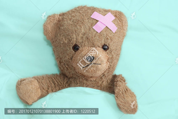 泰迪病了