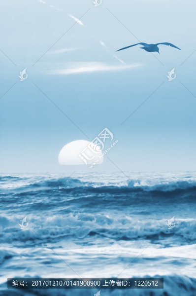 海鷗和日落