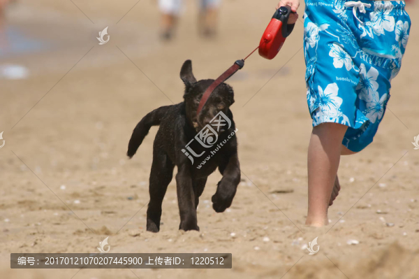 和小狗一起跑步的男孩