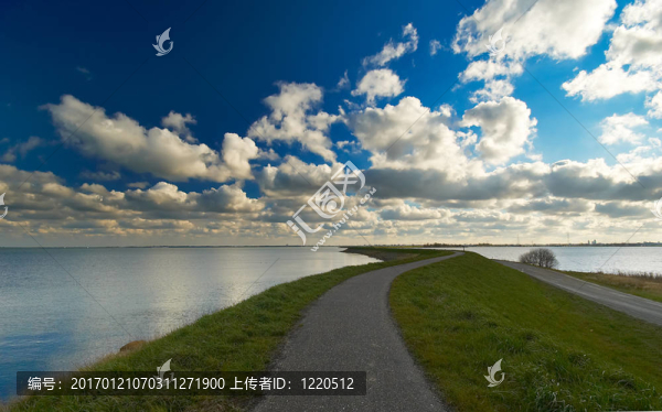 美麗的風景