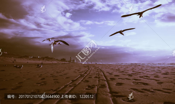 金色的海灘-匯圖網(wǎng) www.fosd68.com 金色的海灘