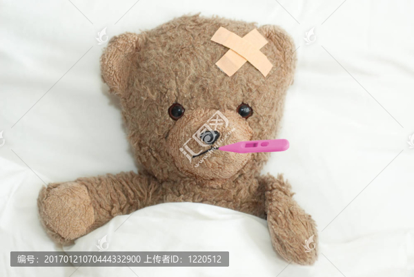 泰迪病了