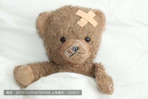 泰迪病了