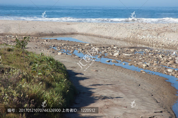 海灘
