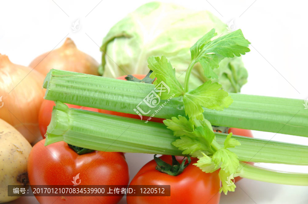 蔬菜收集-芹菜