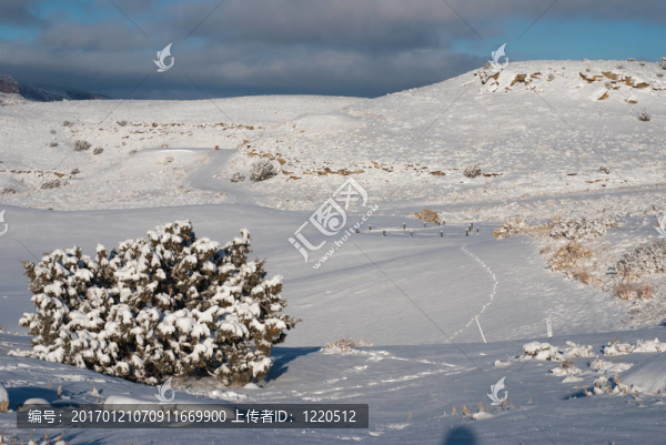 高爾夫球場上的雪