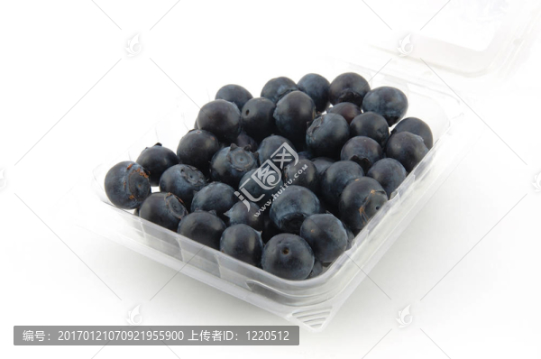 藍(lán)莓在箱