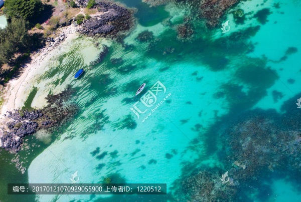 海洋