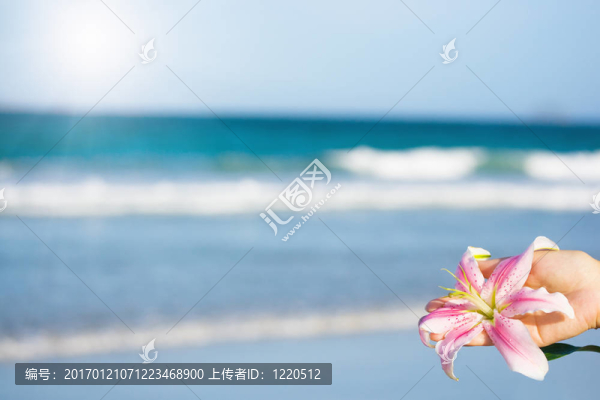 百合花