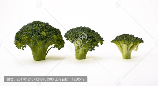 西蘭花白菜