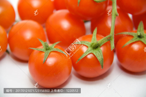 番茄