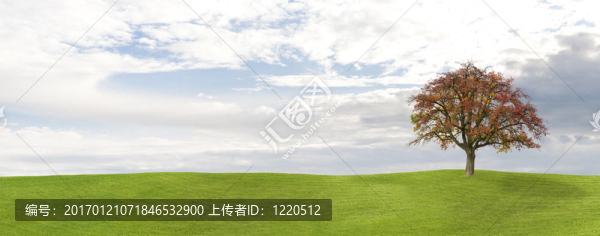 秋天的全景