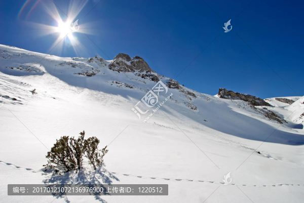 陽(yáng)光下的雪