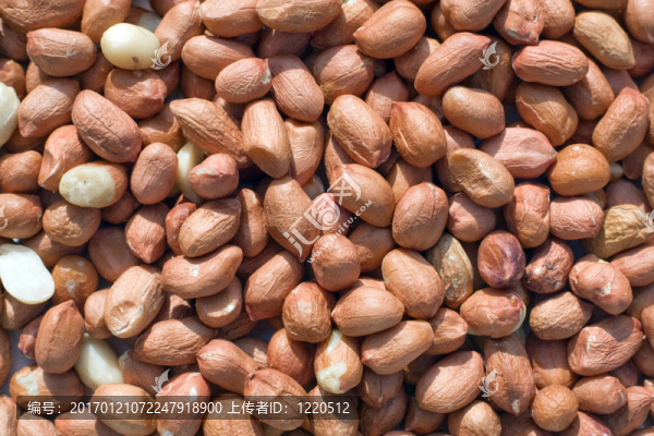 新鮮花生的背景