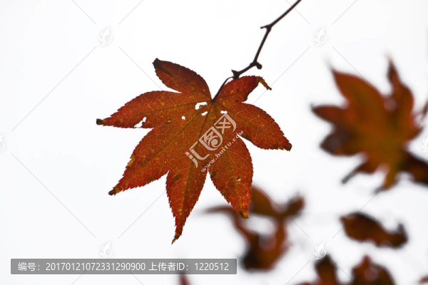 Herbst