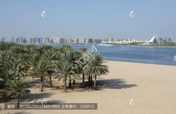在迪拜河的海灘