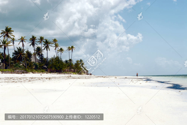 桑給巴爾海灘
