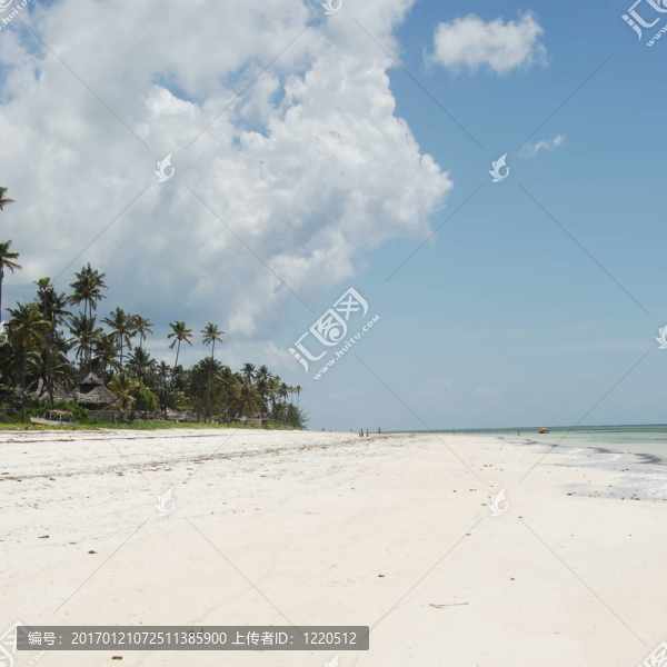 桑給巴爾海灘
