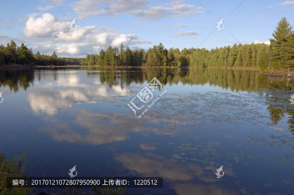 湖