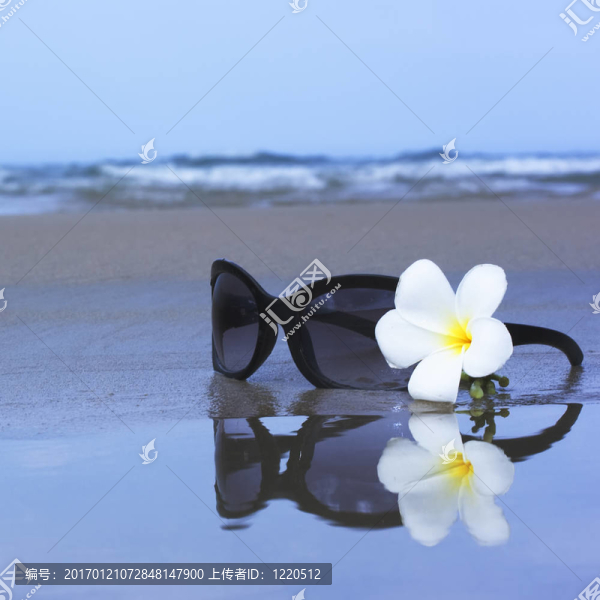 太陽鏡和花