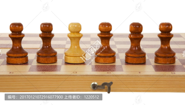 國際象棋的棋子