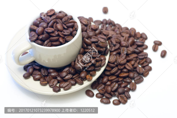 杯豆