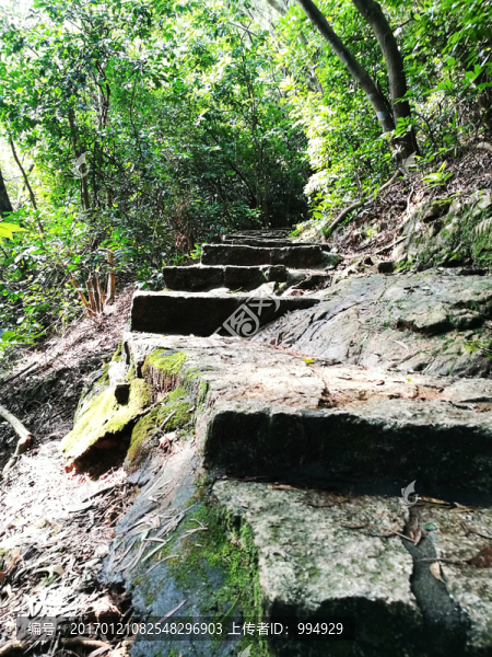 筆架山公園登山道