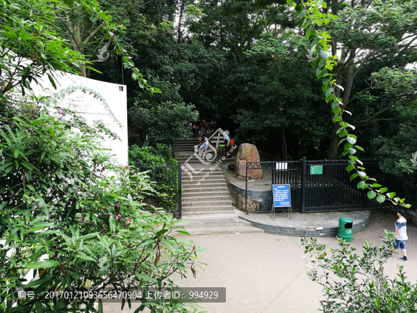 深圳羊臺(tái)山森林公園
