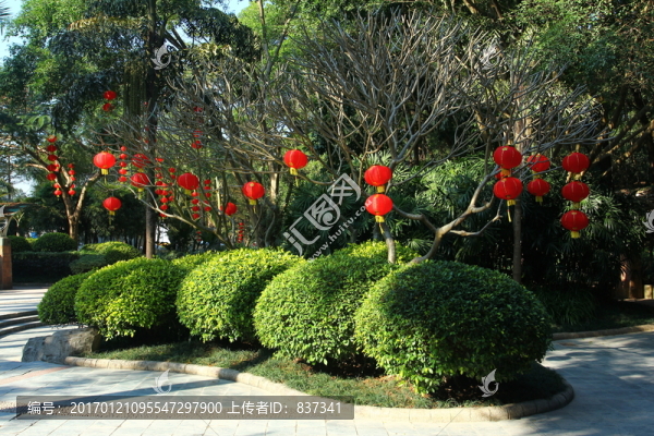 公園一角