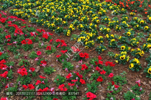 城市花草園藝