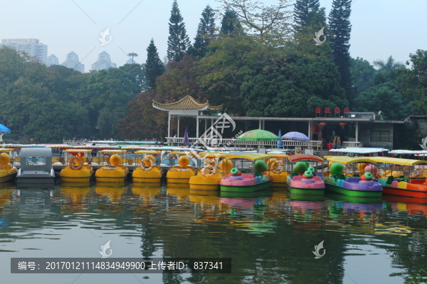 公園劃船