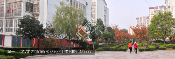 小區(qū)風(fēng)景,,小區(qū)綠化
