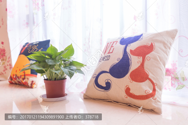 家庭綠植